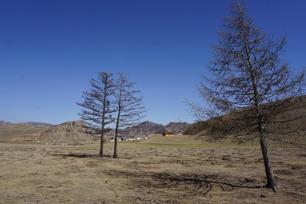 My Mongolia Eco Ger Camp Hotell Nalayh Eksteriør bilde