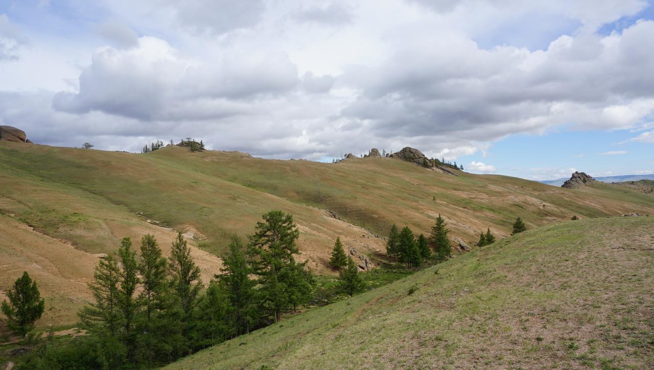 My Mongolia Eco Ger Camp Hotell Nalayh Eksteriør bilde