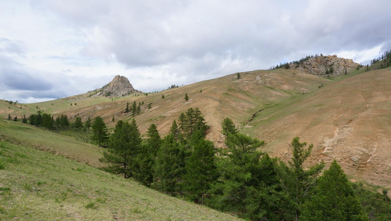 My Mongolia Eco Ger Camp Hotell Nalayh Eksteriør bilde